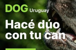 DOG Uruguay - Hacé dúo con tu can